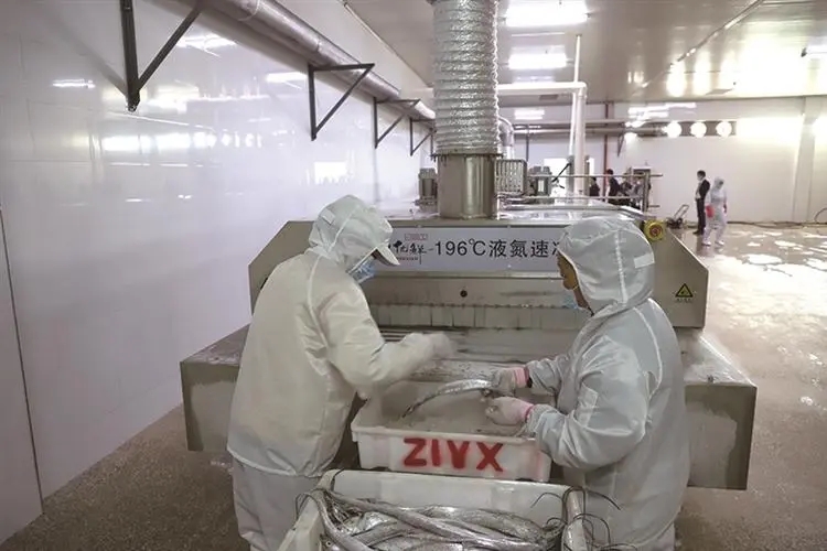 吴越能源工业气体  液氮在食品加工与保鲜中的应用——食品速冻